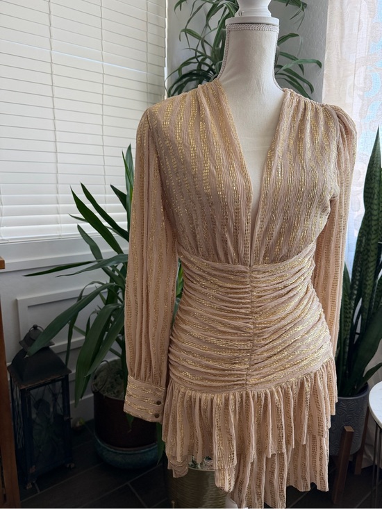 Sabina Musayev Dresses & Skirts - REVOLVE Sabina musayev dragonfly Gold Ruched Long Sleeve Mini Dress